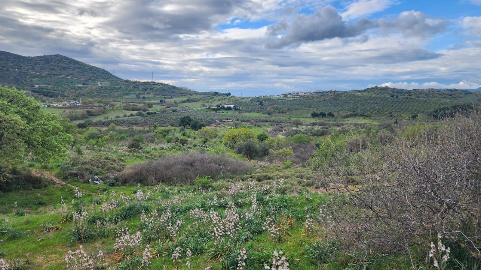 Dikili'de Tiny House Hayalinize Uygun – Doğa İçinde Tarla!