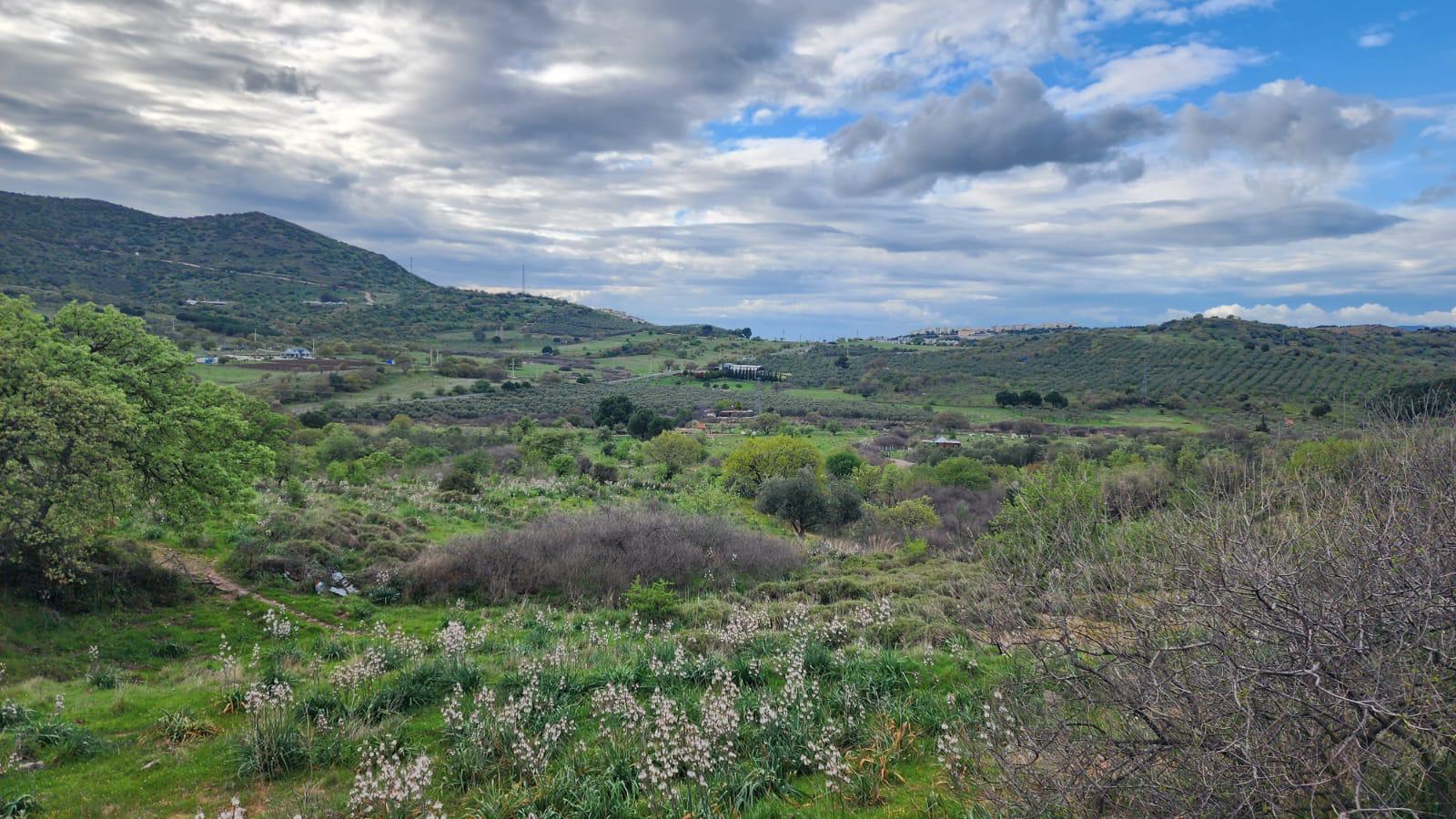 Dikili'de Tiny House Hayalinize Uygun – Doğa İçinde Tarla!