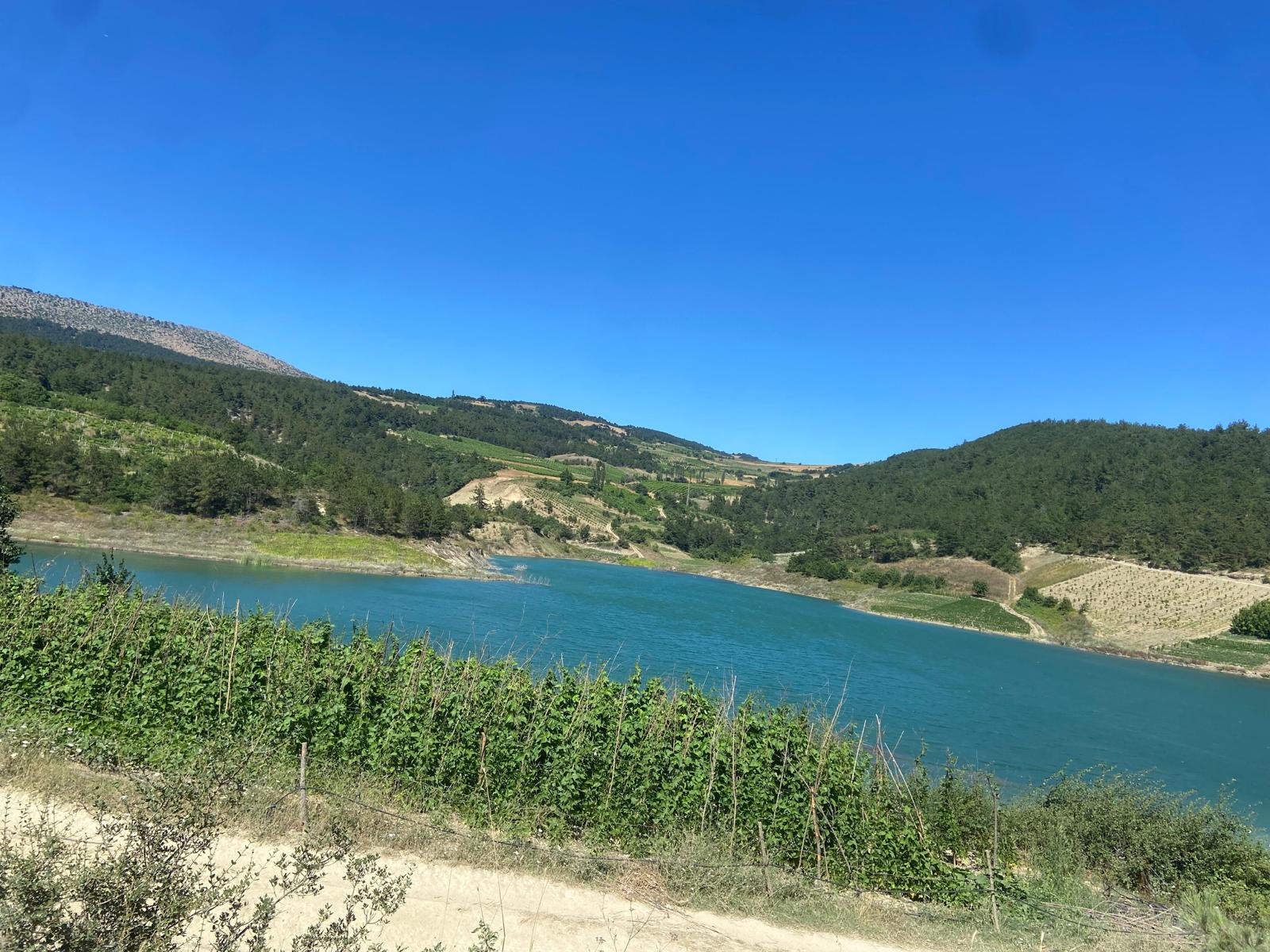 Geyve Sekiharman’da Göl Kenarı, 12 Dönüm Kullanımlı Tarla – Yatırıma Uygun!