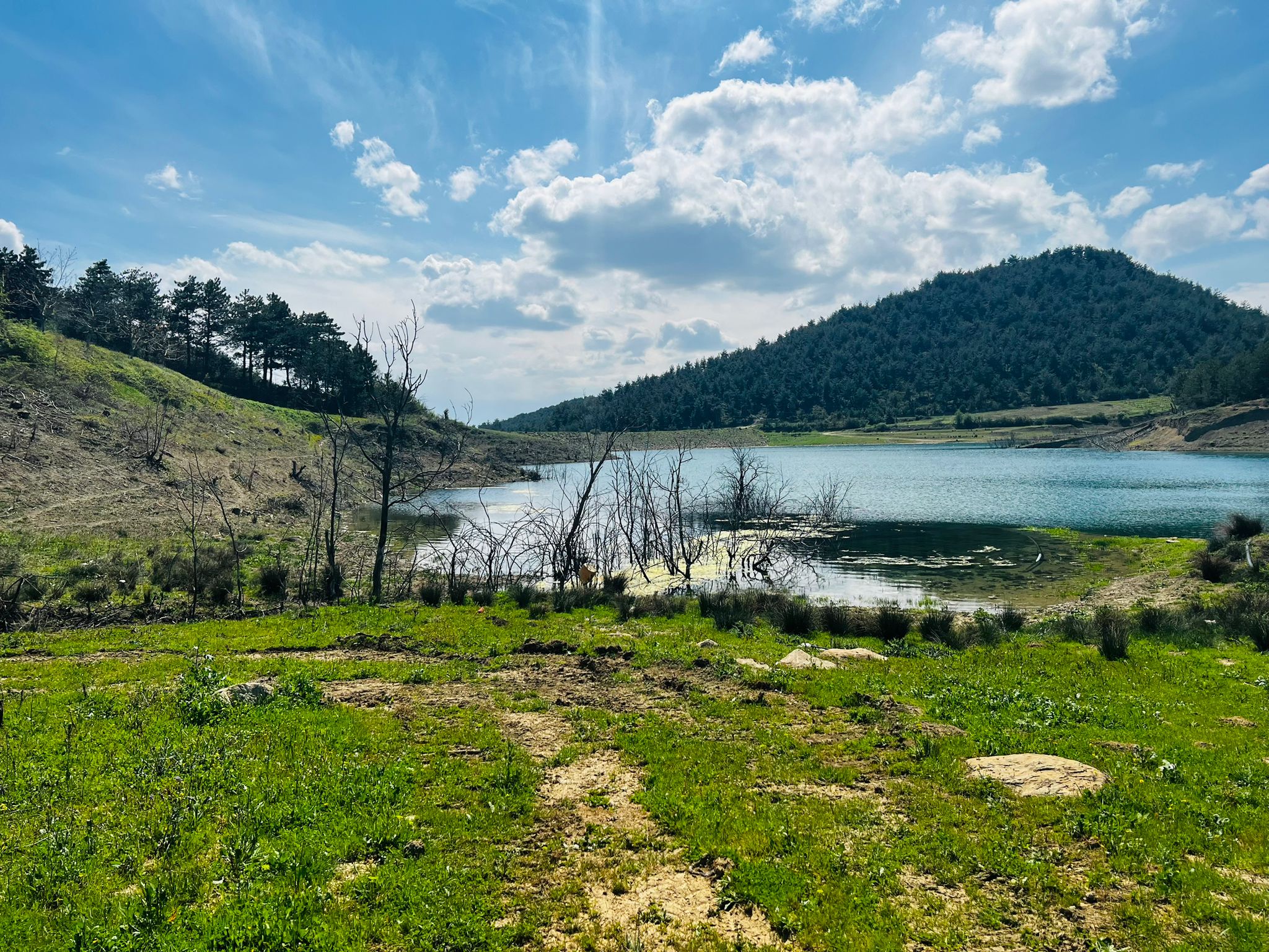 Geyve Sekiharman’da Göl Kenarı, 12 Dönüm Kullanımlı Tarla – Yatırıma Uygun!