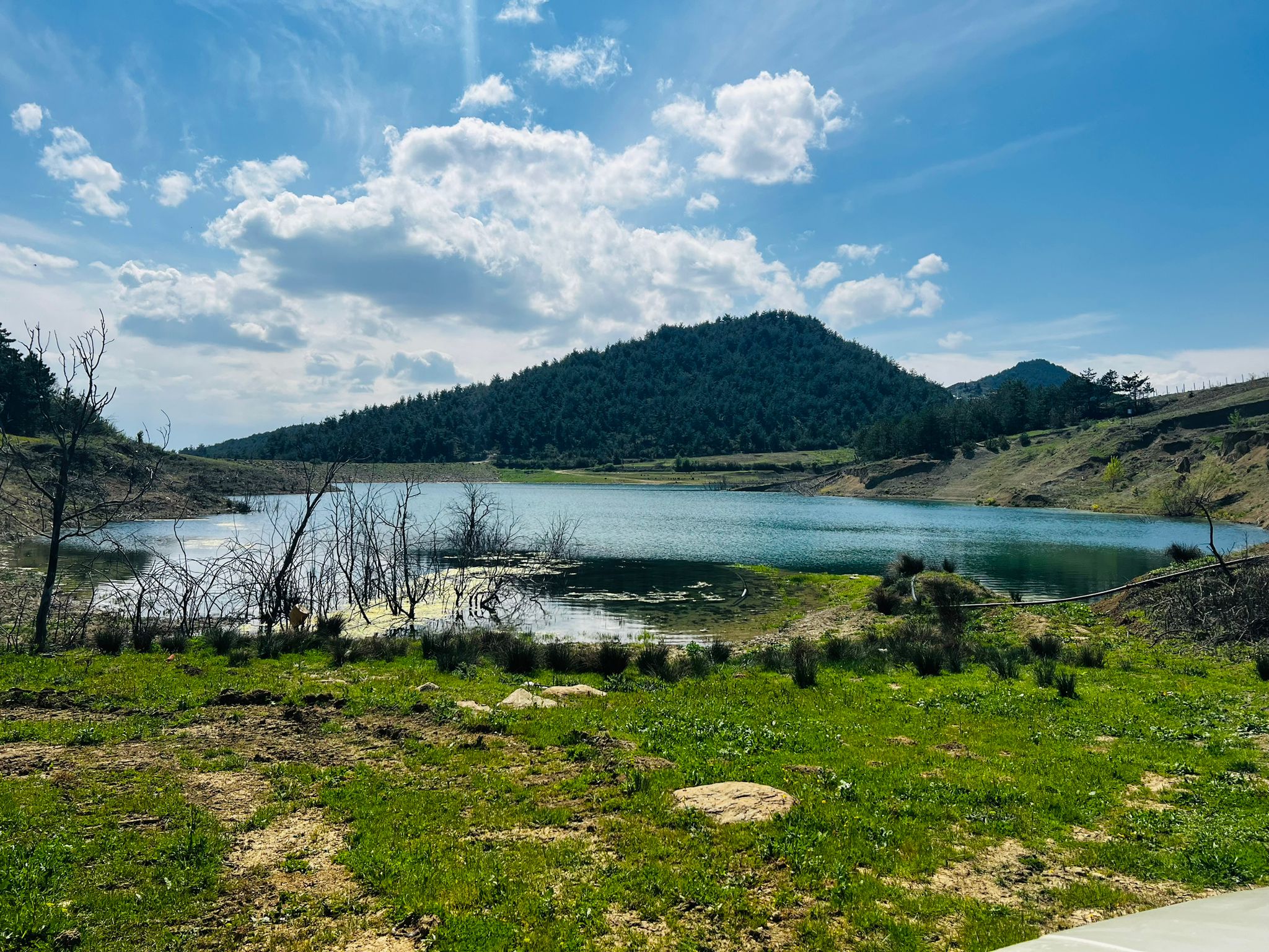 Geyve Sekiharman’da Göl Kenarı, 12 Dönüm Kullanımlı Tarla – Yatırıma Uygun!