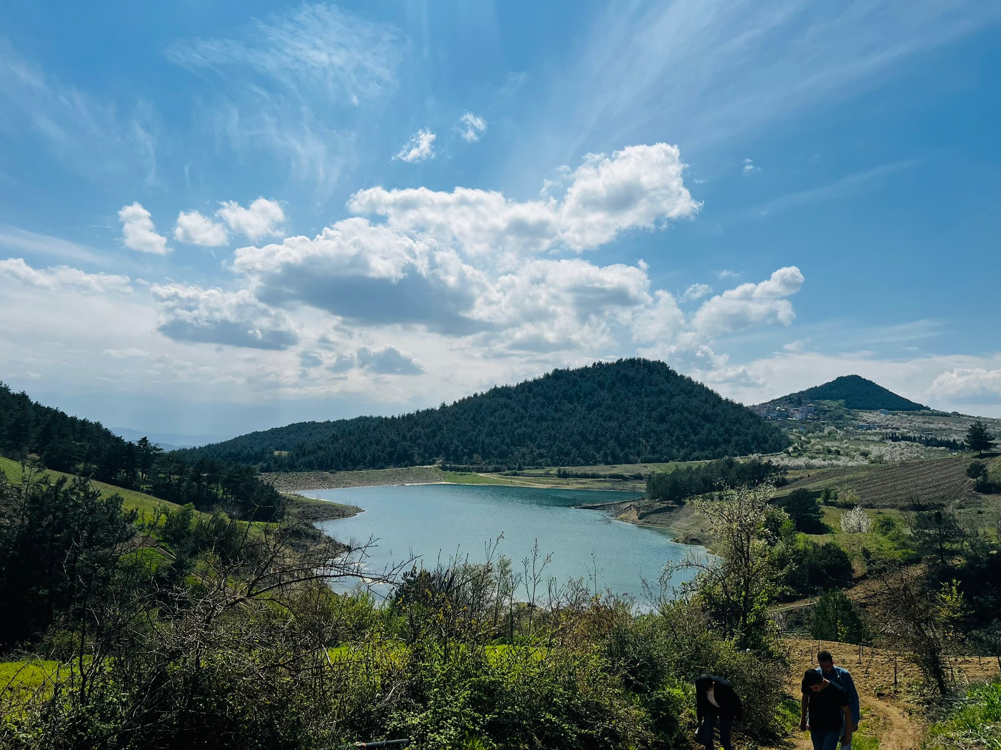 Geyve Sekiharman’da Göl Kenarı, 12 Dönüm Kullanımlı Tarla – Yatırıma Uygun!