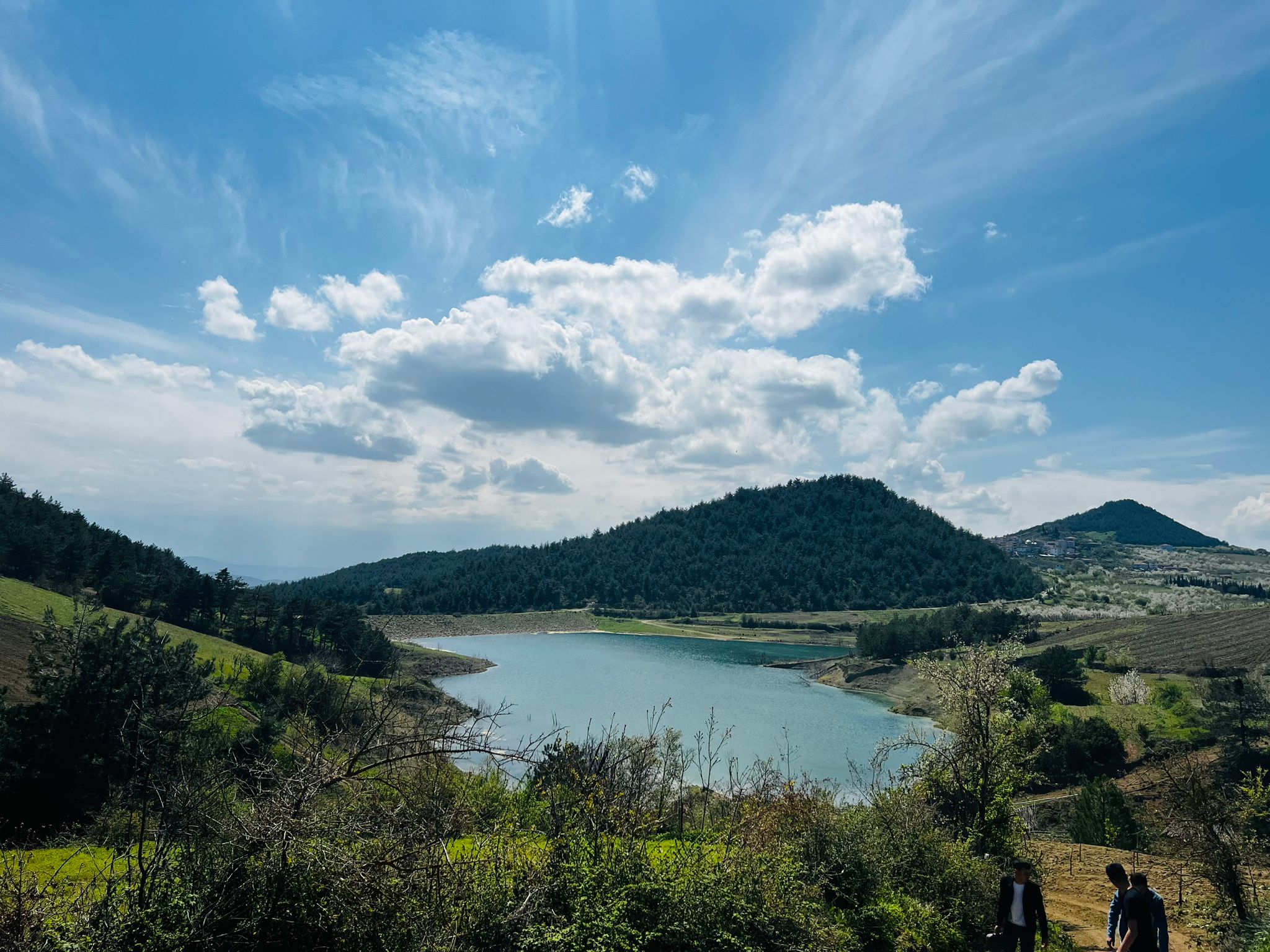 Geyve Sekiharman’da Göl Kenarı, 12 Dönüm Kullanımlı Tarla – Yatırıma Uygun!