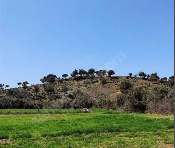 ÇANAKKALE BAYRAMİÇ'TE SATILIK TARLA