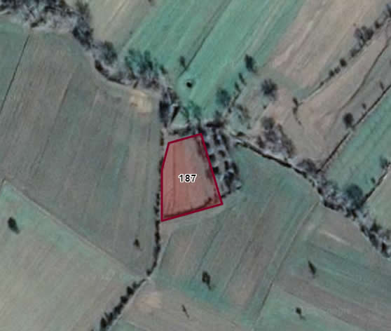 ÇANAKKALE BAYRAMİÇ'TE SATILIK TARLA