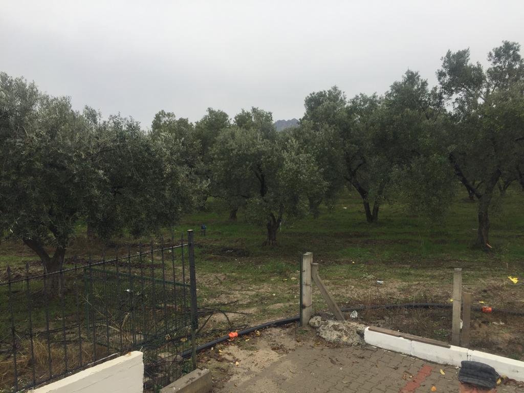 DİKİLİ SALİHLERDE İMAR İZNİ BEKLENEN YATIRIMLIK ARSA