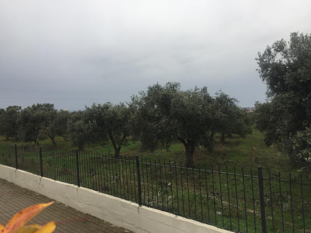 DİKİLİ SALİHLERDE İMAR İZNİ BEKLENEN YATIRIMLIK ARSA