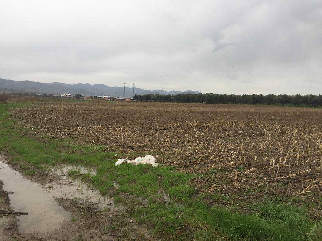 DİKİLİ SALİHLERDE İMAR İZNİ BEKLENEN YATIRIMLIK ARSA